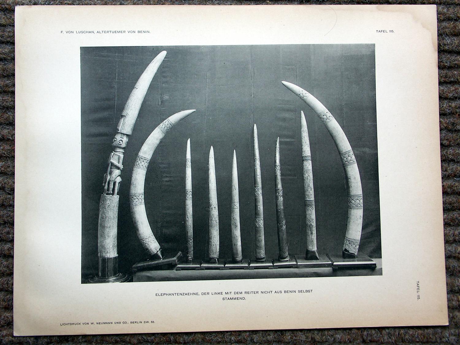 zz-lusc19,tafel 115 (yoruba) benin nigeria,elfenbein-horn mit figur (b